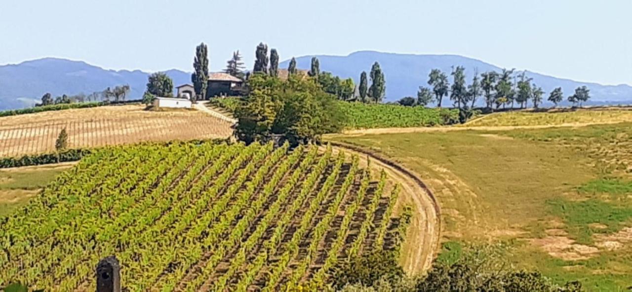 Maison d'hôtes Morelli House à Montalbo Extérieur photo
